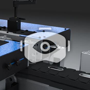 Iris Inspection Machine