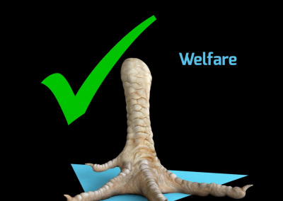 Welfare Alterion